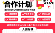 小红书MCN机构入驻指南-小红书 MCN 合作计划